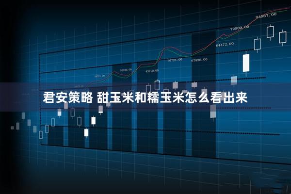 君安策略 甜玉米和糯玉米怎么看出来